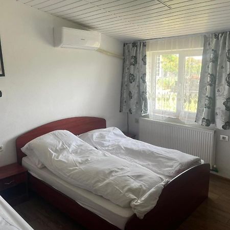 Pensiunea Mario Curtici Buitenkant foto